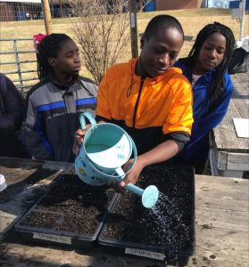 City Schoolyard Garden Receives Shaping Futures Grant; Birth Sisters of Charlottesville Advance Work